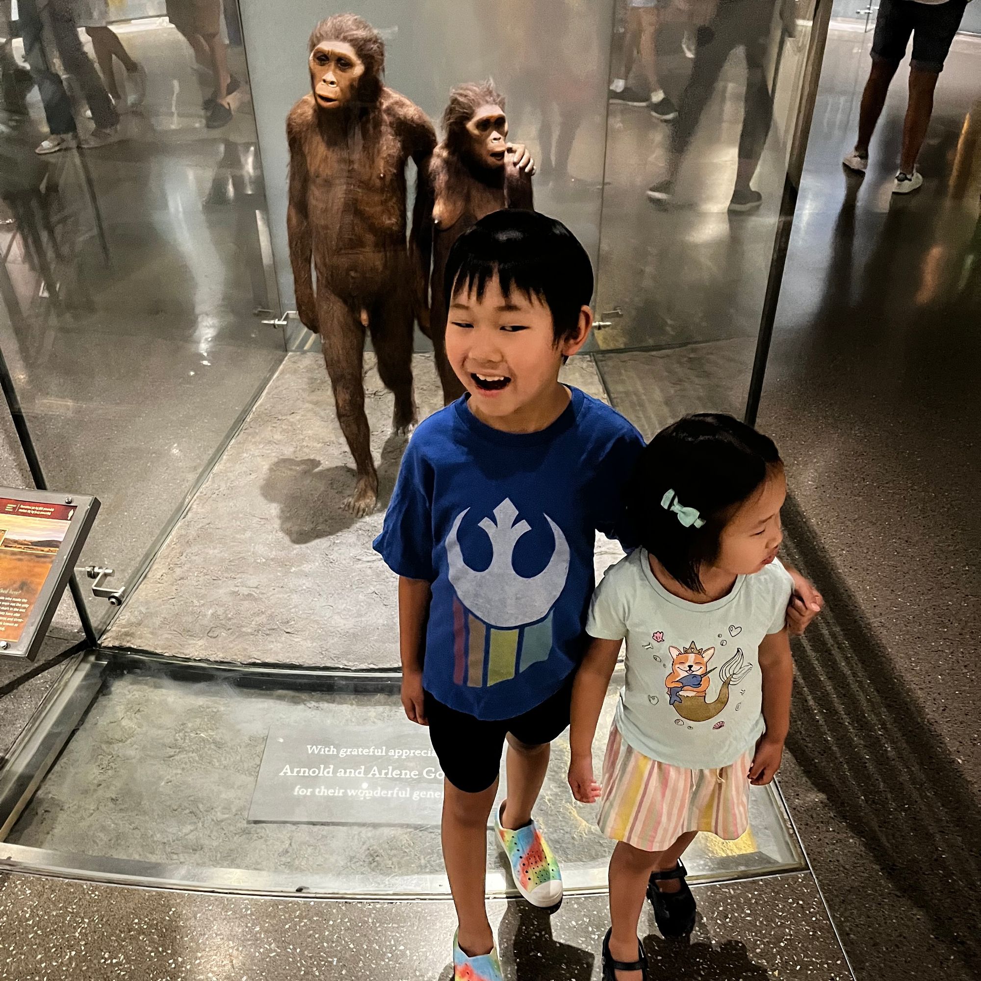 Hall of Human Origins at The American Museum of Natural History, New York City