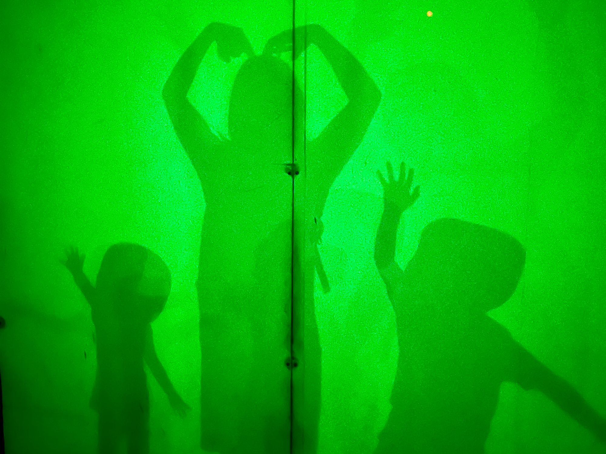 Shadow photo booth at Science World, Vancouver, Canada