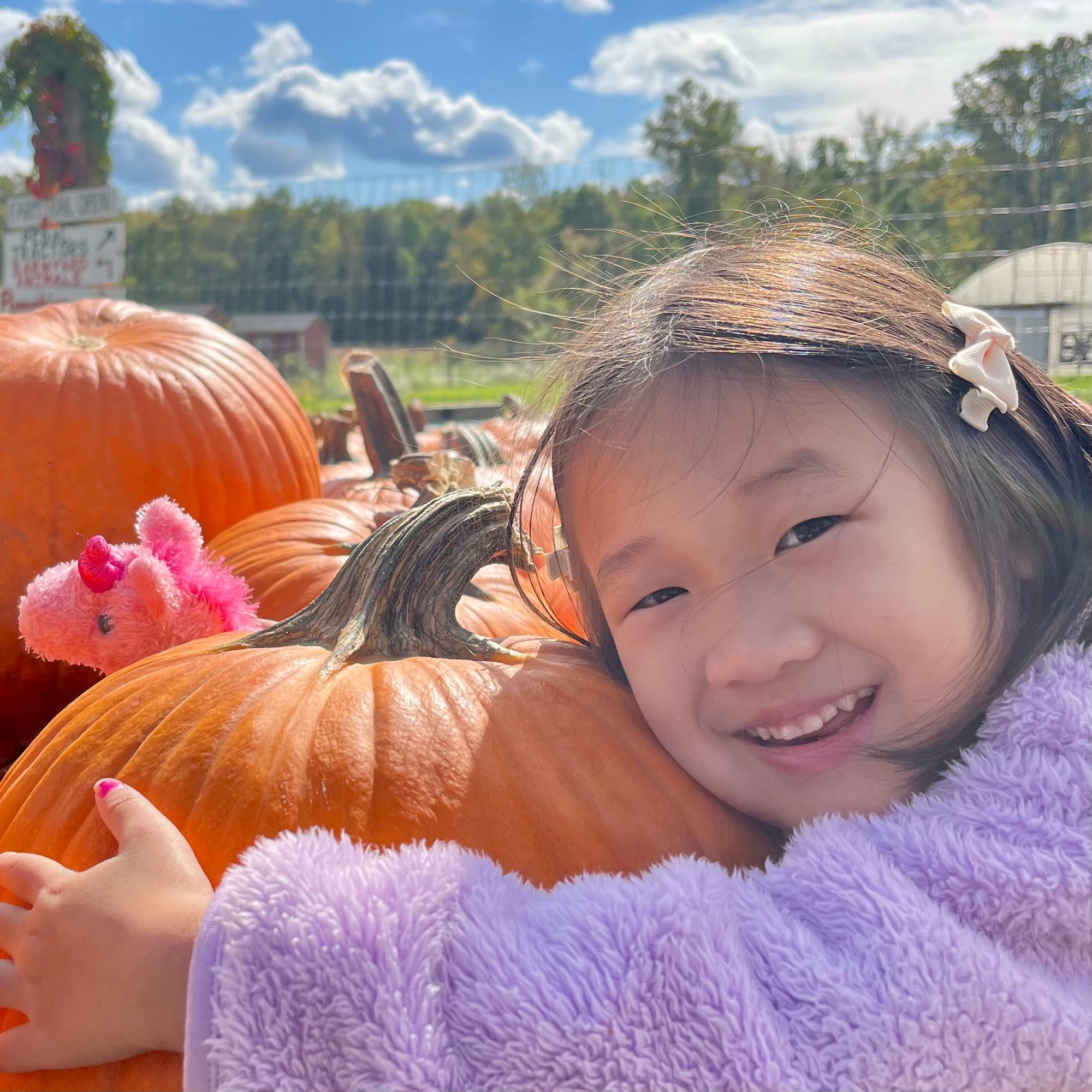 Pumpkin Patches near NYC at Terhune Orchards, Princeton, NJ 