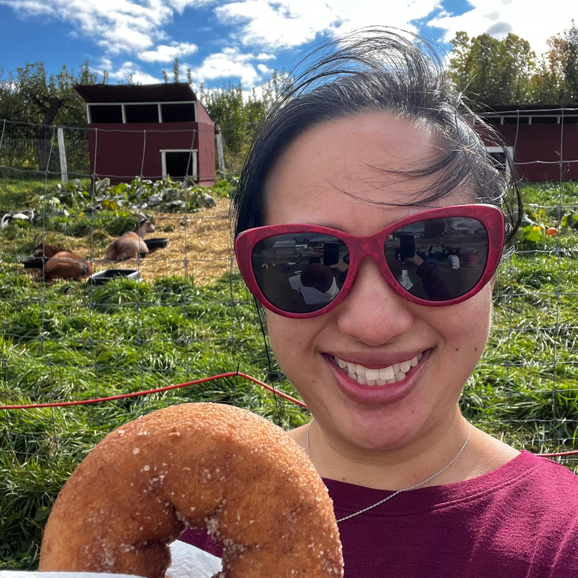 Apple Cider Donut & Goats at Pennings Orchard, Warwick, NY