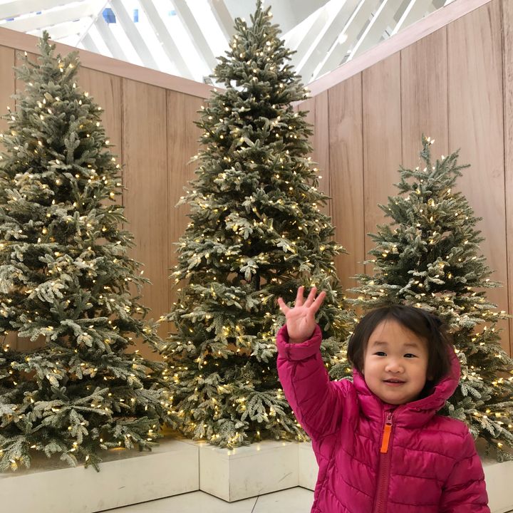 Toddler waving in front of Christmas Trees at the World Trade Center